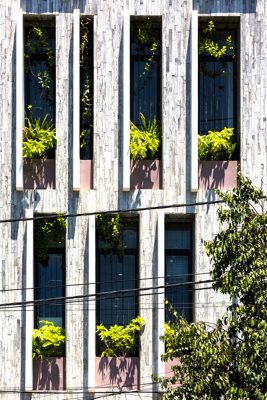 Thiết kế thi công mẫu kiến trúc nhà ở thế giới cây xanh