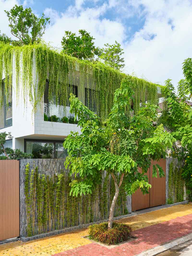 Mẫu kiến trúc mái nhà rêu phong xanh rợp ấn tượng